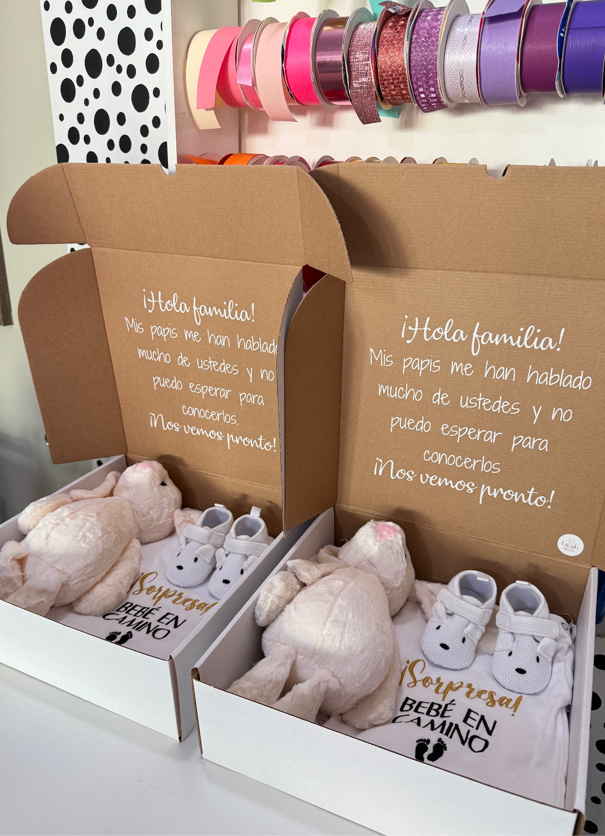 Bebé en Camino Box