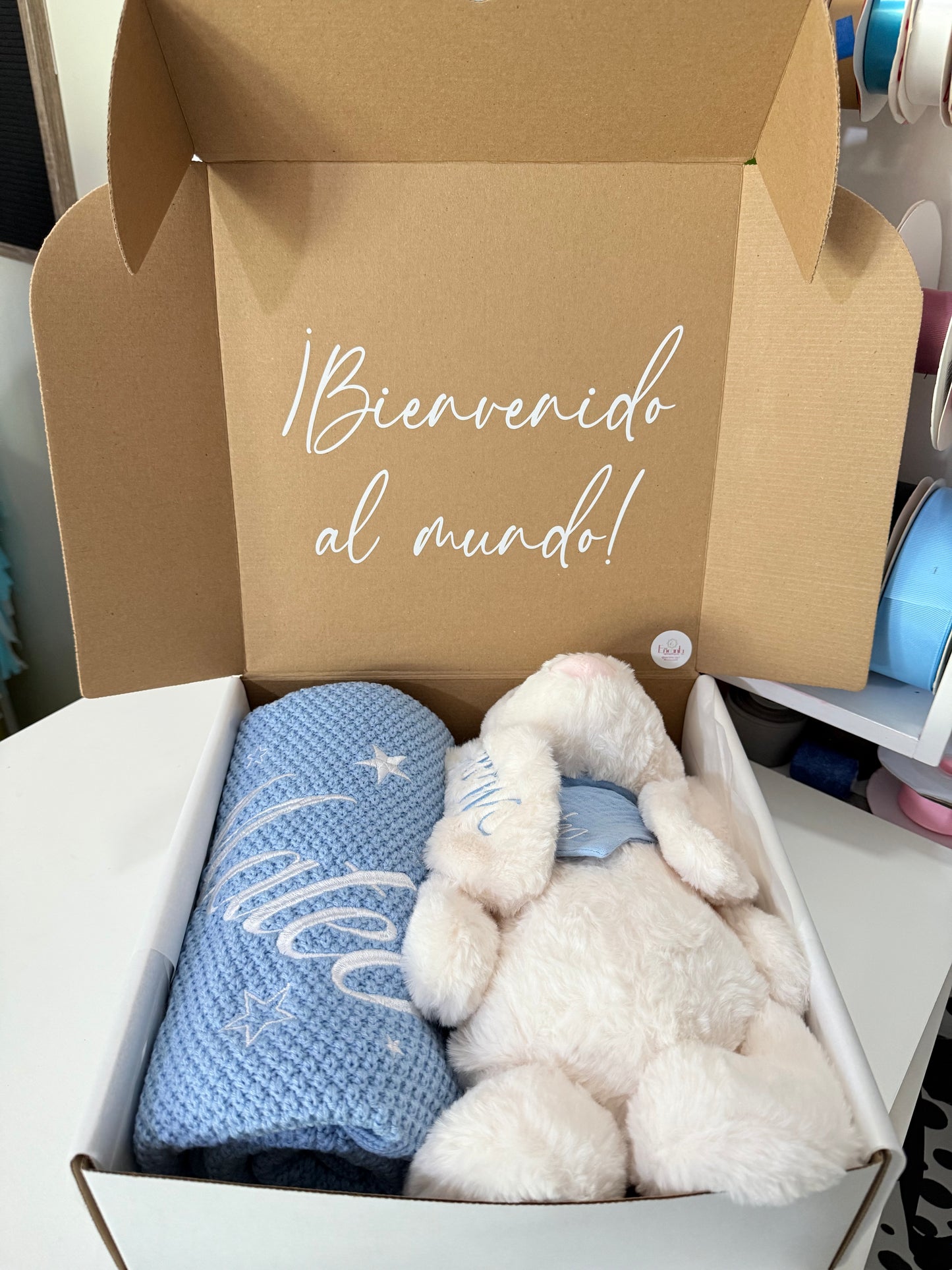 Llegada de Bebé Box